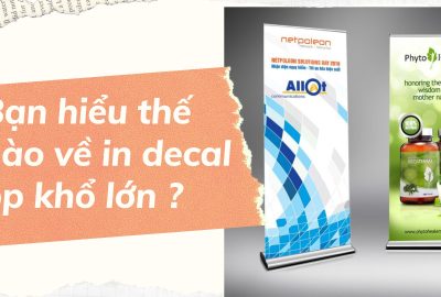 “ban-hieu-the-nao-ve-in-decal-pp-kho-lon”