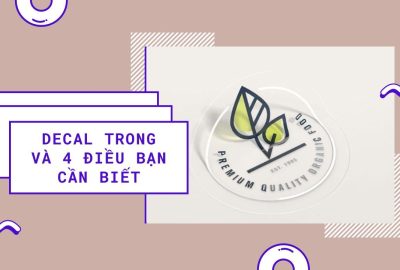 “decal-trong-va-4-dieu-ban-can-biet”