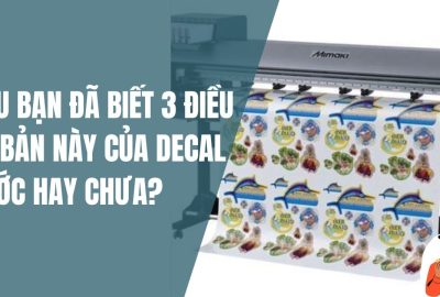 “lieu-ban-da-biet-3-dieu-co-ban-nay-cua-decal-nuoc-hay-chưa-?”
