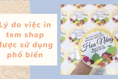 “ly-do-in-tem-shop-duoc-su-dung-pho-bien”