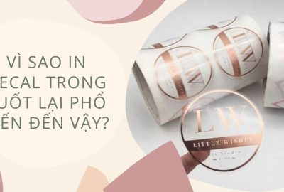 “vi-sao-in-decal-trong-suot-lai-pho-bien-den-vay”